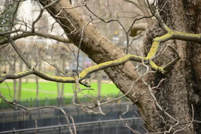 DSC_5637 (Large).JPG